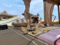 Ahmadou NJOYA - Doumah