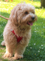 Amélie LEROUX MILAN - ALM PHOTOGRAPHIE